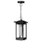 Cwi Lighting Granville 1 Light Black Outdoor Hanging Light 0412P7-1-101 - alternate 2